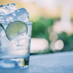 Refrescante gin tonic con hielo y rodajas de lima. Ideal para disfrutar sin preocuparse por las calorías.