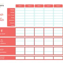 Ficha para una cata a ciegas de seis vinos, con secciones para fase visual, olfativa y gustativa, además de detalles del vino.