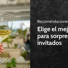 Copa de vino blanco, ideal para descubrir diferentes tipos de vino blanco y sorprender a tus invitados.