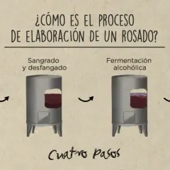 Ilustración muestra cómo se hace el vino rosado: despalillado, encubado, sangrado, fermentación y filtración.