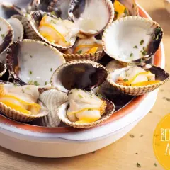 Deliciosos berberechos al vapor, recién cocidos y espolvoreados con perejil fresco. Un bocado del mar.