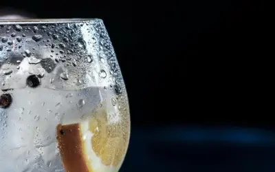 Copa de ginebra con hielo, limón y bayas de enebro. El exceso de alcohol puede tener ginebra efectos negativos.