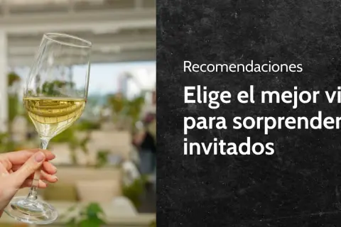 Copa de vino blanco, ideal para descubrir diferentes tipos de vino blanco y sorprender a tus invitados.