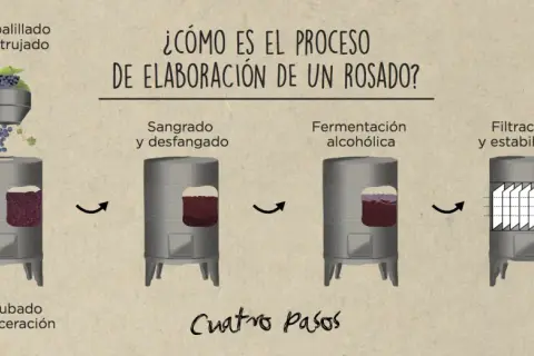 Ilustración muestra cómo se hace el vino rosado: despalillado, encubado, sangrado, fermentación y filtración.