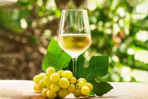 Copa de vino verdejo, con racimo de uvas blancas y hojas de parra. El vino verdejo de donde es, se siente en la frescura.