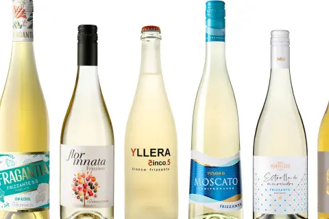 Seis botellas de vino blanco, algunas con etiquetas que indican que son frizzante, como Fragantia y Yllera Cinco.5.
