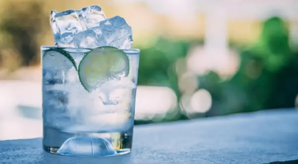 Refrescante gin tonic con hielo y rodajas de lima. Ideal para disfrutar sin preocuparse por las calorías.