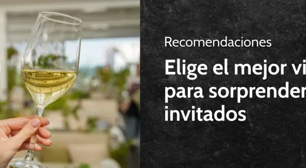 Copa de vino blanco, ideal para descubrir diferentes tipos de vino blanco y sorprender a tus invitados.
