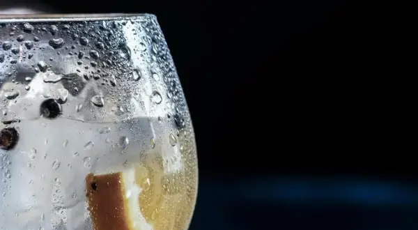 Copa de ginebra con hielo, limón y bayas de enebro. El exceso de alcohol puede tener ginebra efectos negativos.
