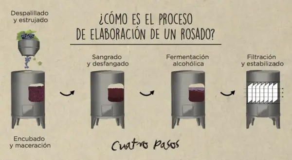 Ilustración muestra cómo se hace el vino rosado: despalillado, encubado, sangrado, fermentación y filtración.