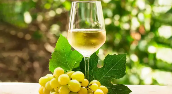 Copa de vino verdejo, con racimo de uvas blancas y hojas de parra. El vino verdejo de donde es, se siente en la frescura.