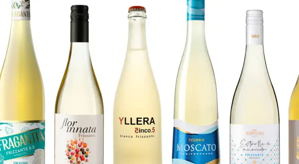 Seis botellas de vino blanco, algunas con etiquetas que indican que son frizzante, como Fragantia y Yllera Cinco.5.