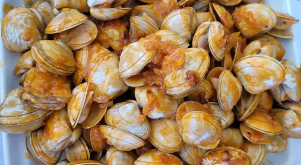 Un plato rebosante de almejas a la marinera, con su salsa anaranjada cubriendo las conchas.