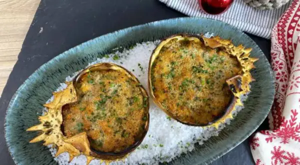 Dos deliciosos txangurros a la donostiarra, gratinados y espolvoreados con perejil, reposan sobre sal gruesa en un plato festivo.