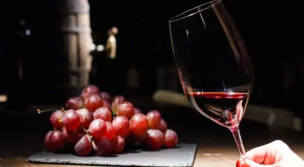Copa de vino tinto con uvas rojas y un barril al fondo, evocando los taninos del vino.