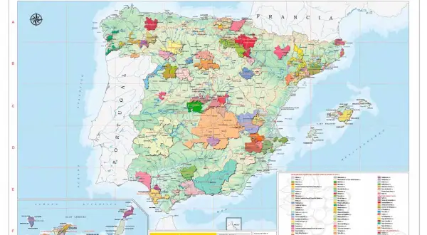 Mapa de las zonas vinícolas de España, mostrando las Denominaciones de Origen Protegidas de vinos. Incluye la península, Baleares y Canarias.