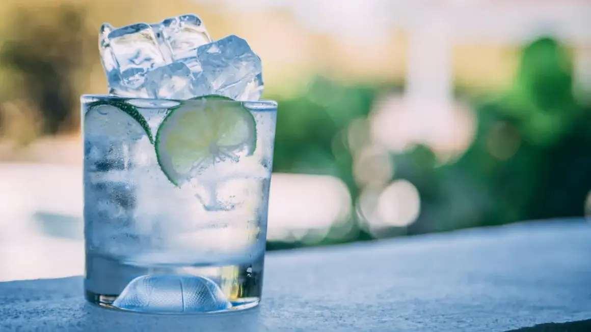 Refrescante gin tonic con hielo y rodajas de lima. Ideal para disfrutar sin preocuparse por las calorías.