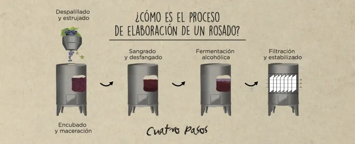 Ilustración muestra cómo se hace el vino rosado: despalillado, encubado, sangrado, fermentación y filtración.
