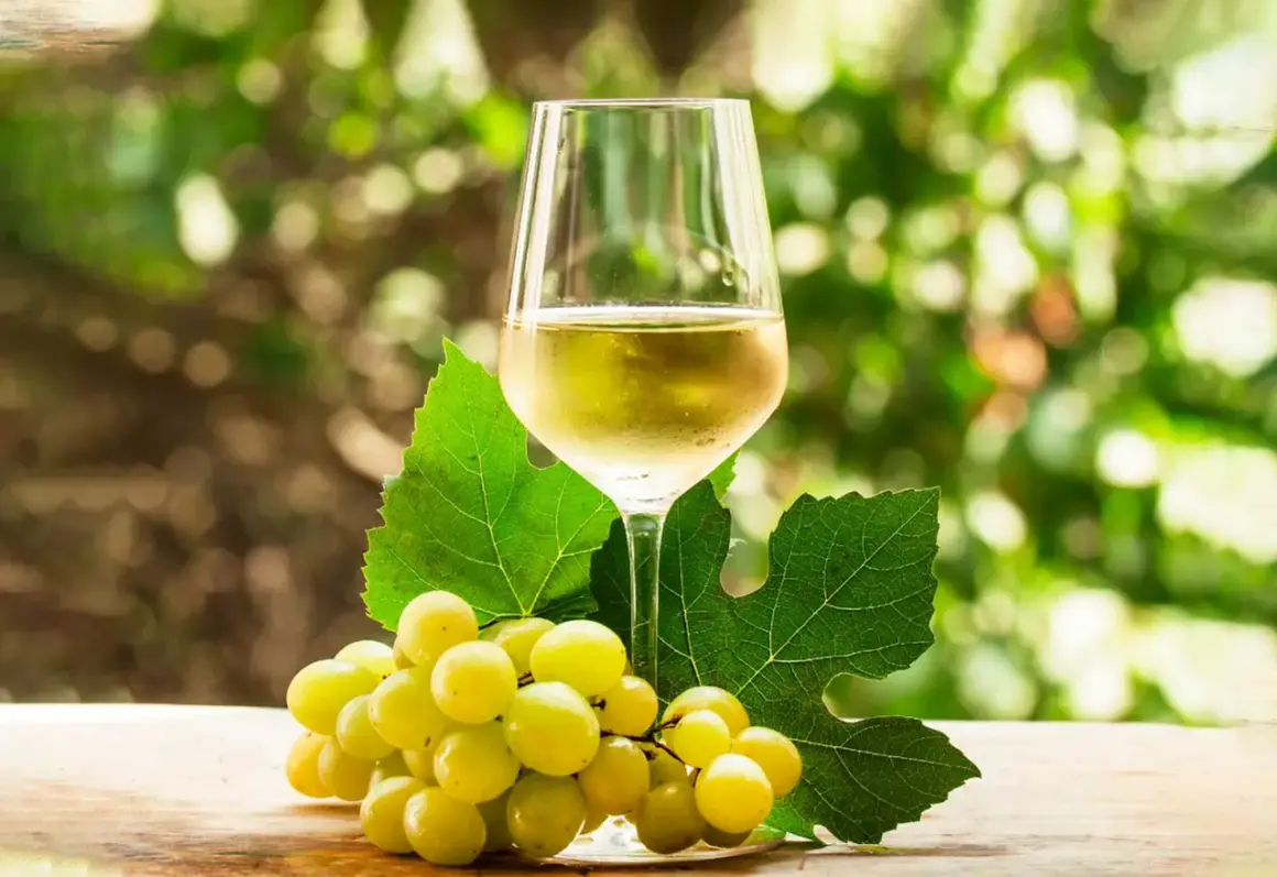 Copa de vino verdejo, con racimo de uvas blancas y hojas de parra. El vino verdejo de donde es, se siente en la frescura.