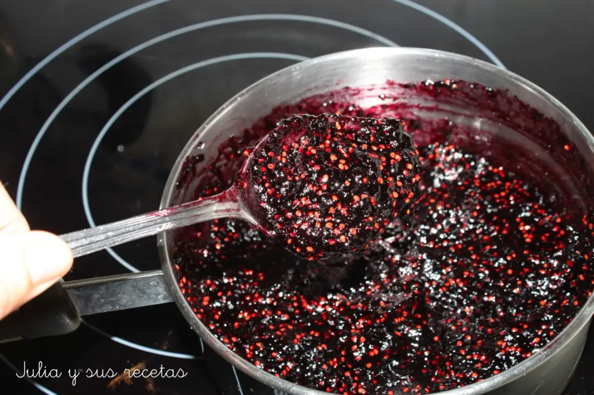 Cuchara llena de mermelada de moras casera, lista para disfrutar. Así se hace mermelada de moras.