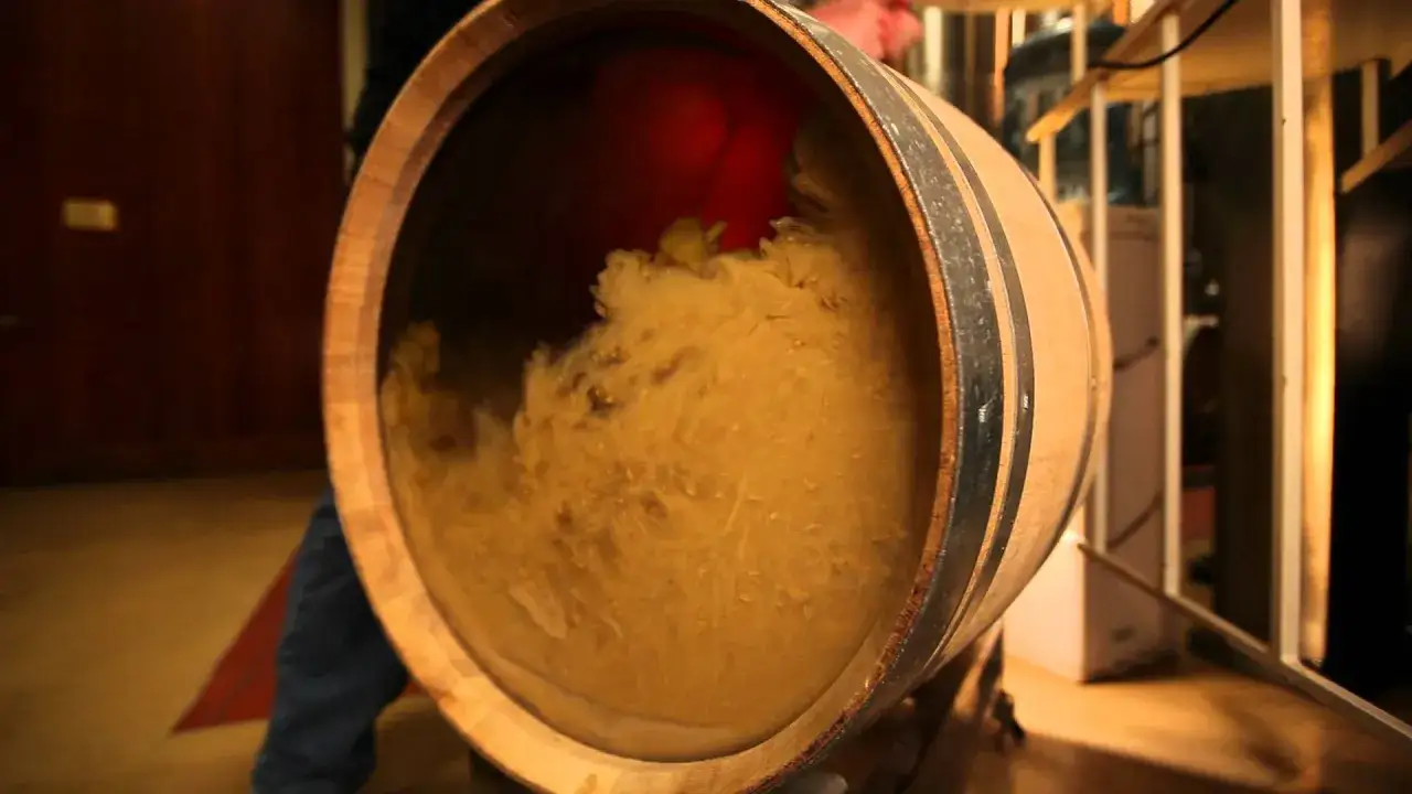 Barrica de madera con turbio l&iacute;quido dorado en su interior, indicando el proceso de crianza sobre lias.