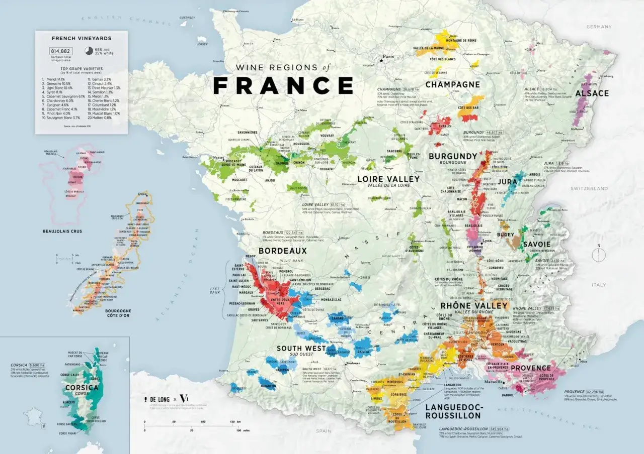 Mapa de regiones vinícolas de Francia, destacando la uva Syrah en el Ródano.