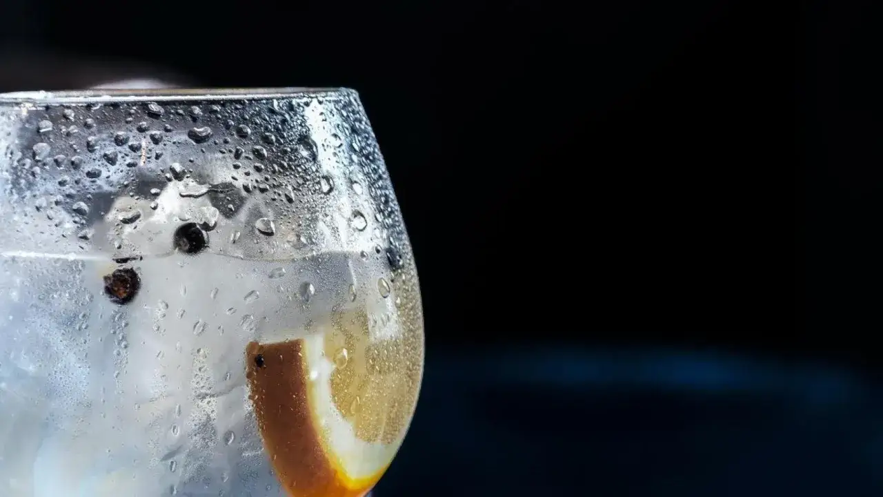 Copa de ginebra con hielo, limón y bayas de enebro. Una bebida refrescante que puede tener ginebra efectos negativos si se consume en exceso.