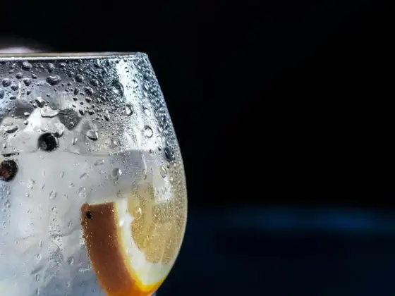 Efectos negativos de la ginebra y cuándo evitarla