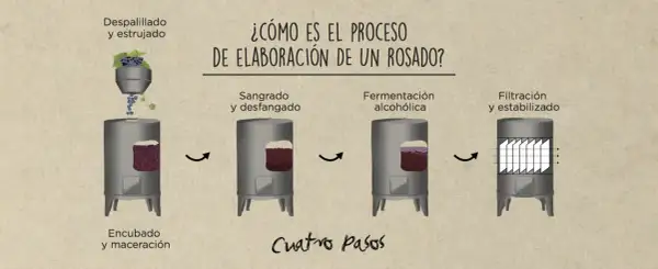 Ilustración muestra cómo se hace el vino rosado: despalillado, encubado, sangrado, fermentación y filtración.